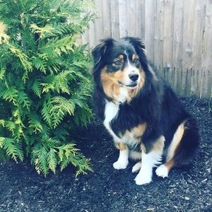 Meet your Posher, Soleil